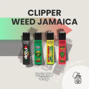 Clipper Weed Jamaica