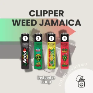 Clipper Weed Jamaica